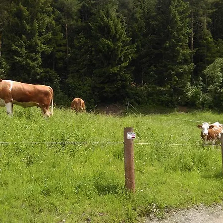 Saumerhof Schladming