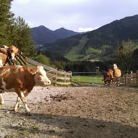 Saumerhof