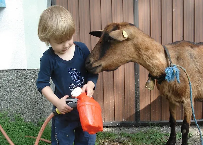 בית חווה Saumerhof