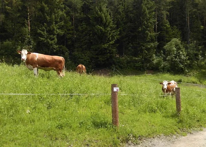 Saumerhof שלאדמינג