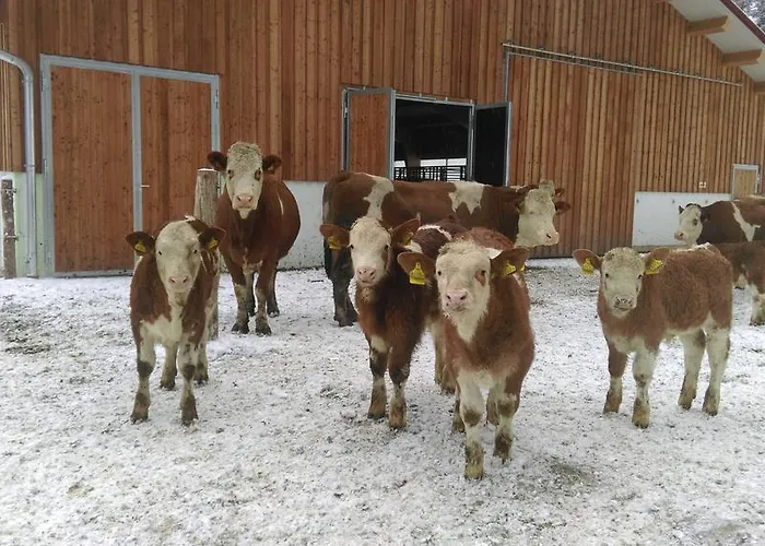 Saumerhof שלאדמינג