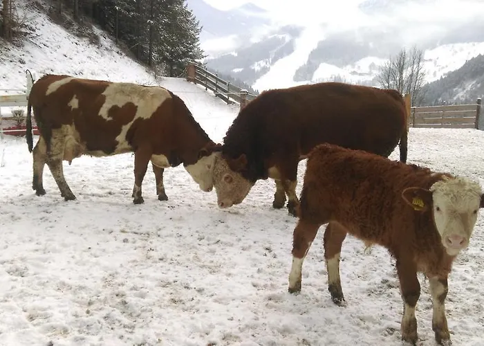 Saumerhof בית חווה