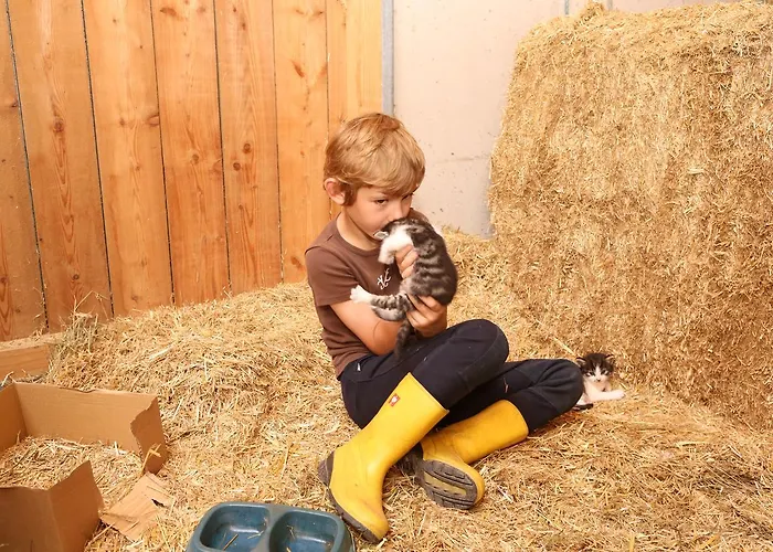 Saumerhof مزرعة للإقامة