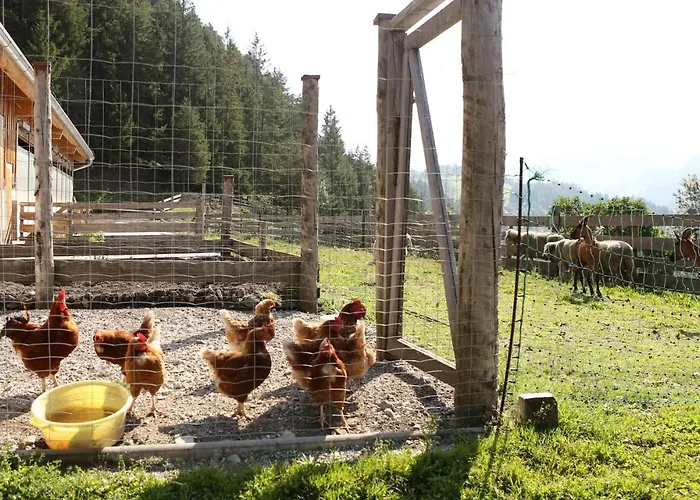 Saumerhof Farmház *