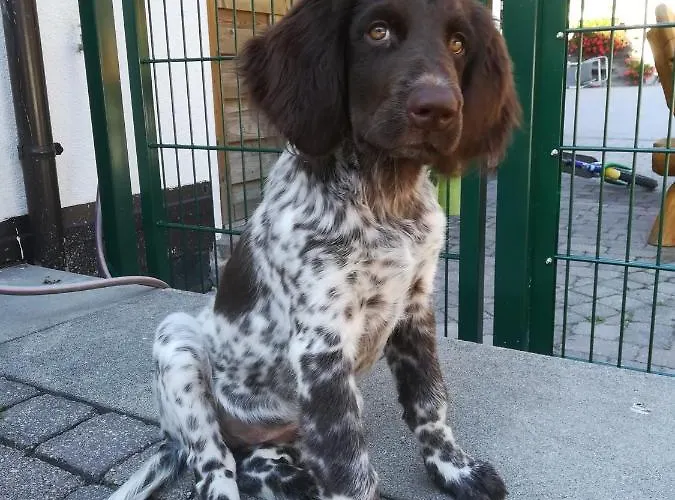 Saumerhof שלאדמינג